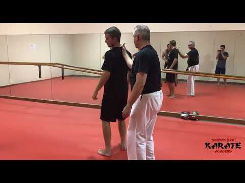 Flinch Response Bunkai Drill for Pinan Shodan