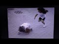 Sesame Street 2 Little Girls Playing Leapfrog 1