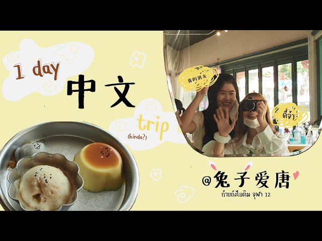 ฝึกภาษาจีนกับเพื่อนลูกครึ่งจีนที่ร้านขนมแบบจีน ๆ - 1 day 中文 trip | Gingerfingers