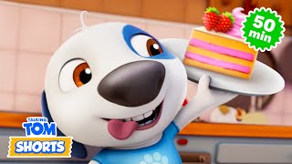 Happy Birthday Hank! 💙 Talking Tom Shorts Compilation