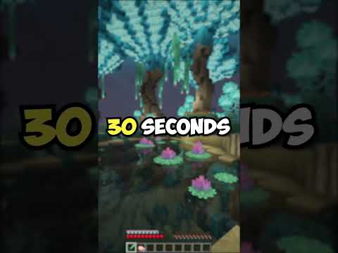 How to Download Minecraft Mods In 30 Seconds!
