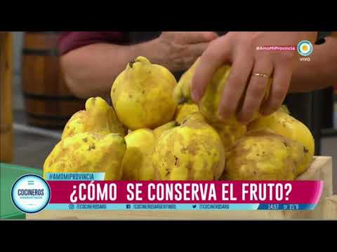 Membrillo, un fruto que tene?s que conocer