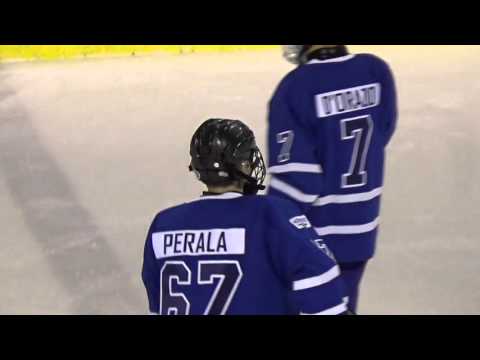 38. 2016 WSI 02 Pro Hockey - Czech Selects