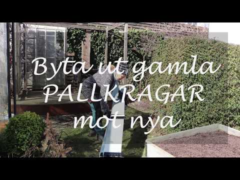 Byta ut gamla pallkragar mot nya