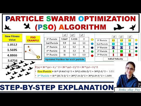 Particle Swarm Optimization (PSO) Algorithm Example Step-by-Step Explanation ~xRay Pixy