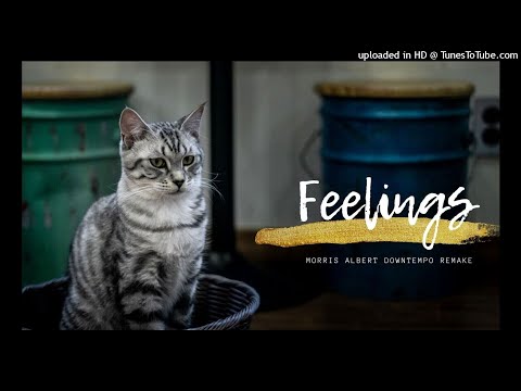 【Feelings】 Morris Albert Downtempo Remake ・Italo Dance・ Tommy Brown ・1993