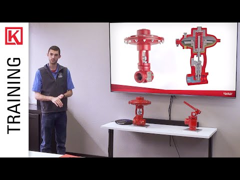 Kimray Cage Guided High Pressure Control Valve Maintenance Repair 