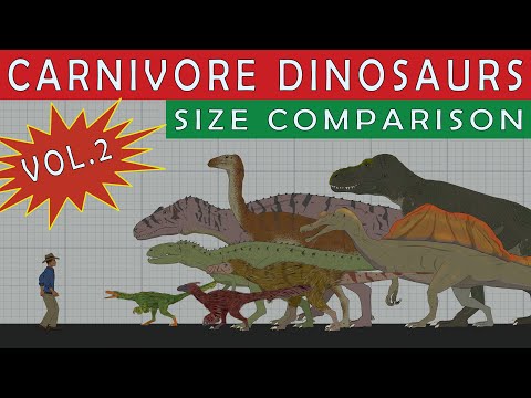 Dinosaurs Size Comparison: Carnivores (Microraptor, Oxalaia, Albertosaurus) Vol.2