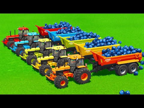 LOAD BLUEBERRYS AND TRANSPORT WITH JOHN DERRE & CASE TRACTORS - Farming Simulator 25