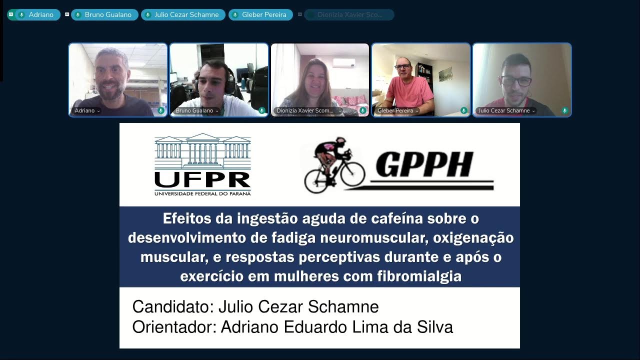 Defesa de Tese - Julio Cezar Schamne