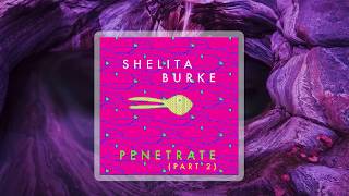 Shelita Burke - Penetrate Part 2