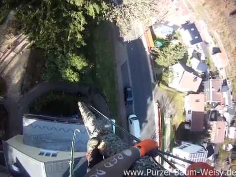 27m Douglasie Abtragen, SKT, Baumklettern, Seiltechnik, Problembaum