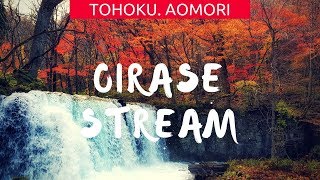 preview picture of video 'Tohoku, Japan: Oirase Stream & Autumn leaves!'