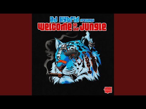 Welcome To The Jungle (Continuous DJ Mix)