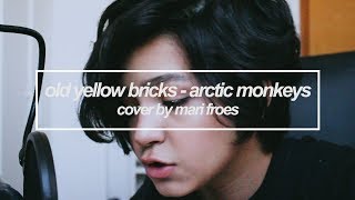 old yellow bricks - arctic monkeys || cover by mari froes