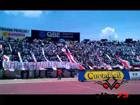 "Es un sentimiento que lo llevo adentro de mi corazón" Barra: Muerte Blanca &bull; Club: LDU