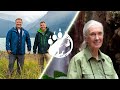 A Conversation With Dr Jane Goodall The Kratt Brothers PBS KIDS