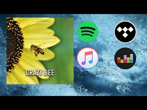 Sergey Wednesday - Crazy Bee (Original Mix)