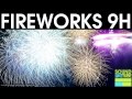 Train Your Dog Tolerate Fireworks No More Fear
