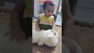 Download lagu Bia Asghar Vlogs | mere beti Horya | daily Vlog | short video | short vlog mp3 Download lagu Bia Asghar Vlogs | mere beti Horya | daily Vlog | short video | short vlog mp3