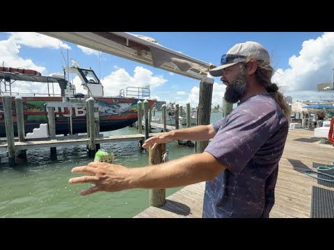 Florida Trend Video Pick - Video