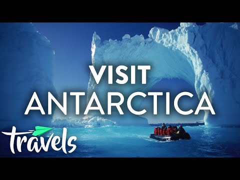 南極旅行が必要な理由｜MojoTravels (Why You Need to Travel to Antarctica | MojoTravels)