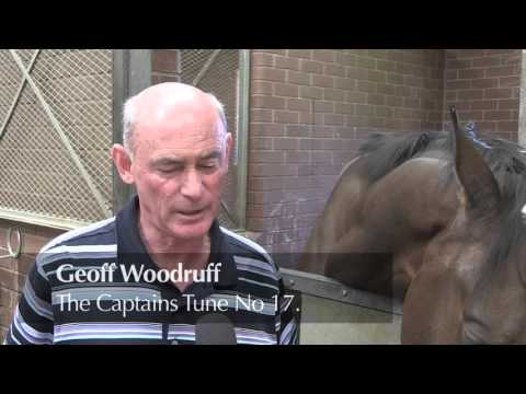 THE ROAD TO THE SANSUI SUMMER CUP 2015   Broadband