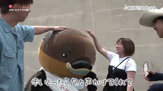 2026/7/13放送・知ったかぶりカイツブリにゅーす