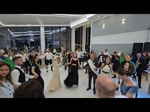 Dumitrița visnevschi și formația 