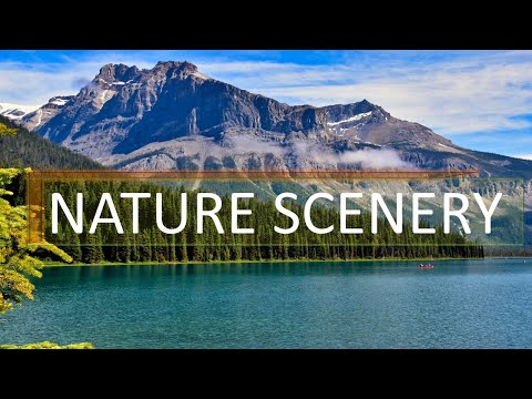 20 Minutes of High Definition Amazing Nature Scenery 🏔🌲 with Relaxing Music for Stress Relief.