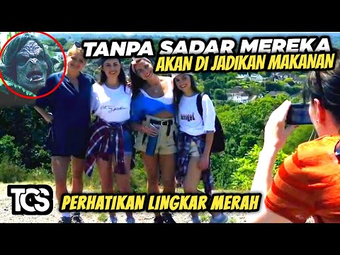 Cuman Karena Piknik Jadi Malapetaka | alur film