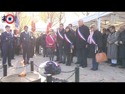 pourquoi y a t il eu la première guerre mondiale