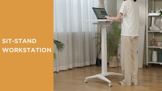 Premium Pneumatic Height Adjustable Mobile Workstation FWS12 Series