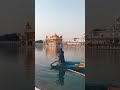 Gurbani Kirtan Shorts
