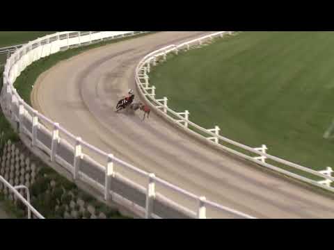 2023.06.23 8. FUTAM - KINCSEM PARK MAGYAR DERBY INVITATION ELŐDÖNTŐ II. FUTAM