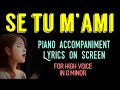 SE TU M'AMI piano accompaniment with lyrics ...