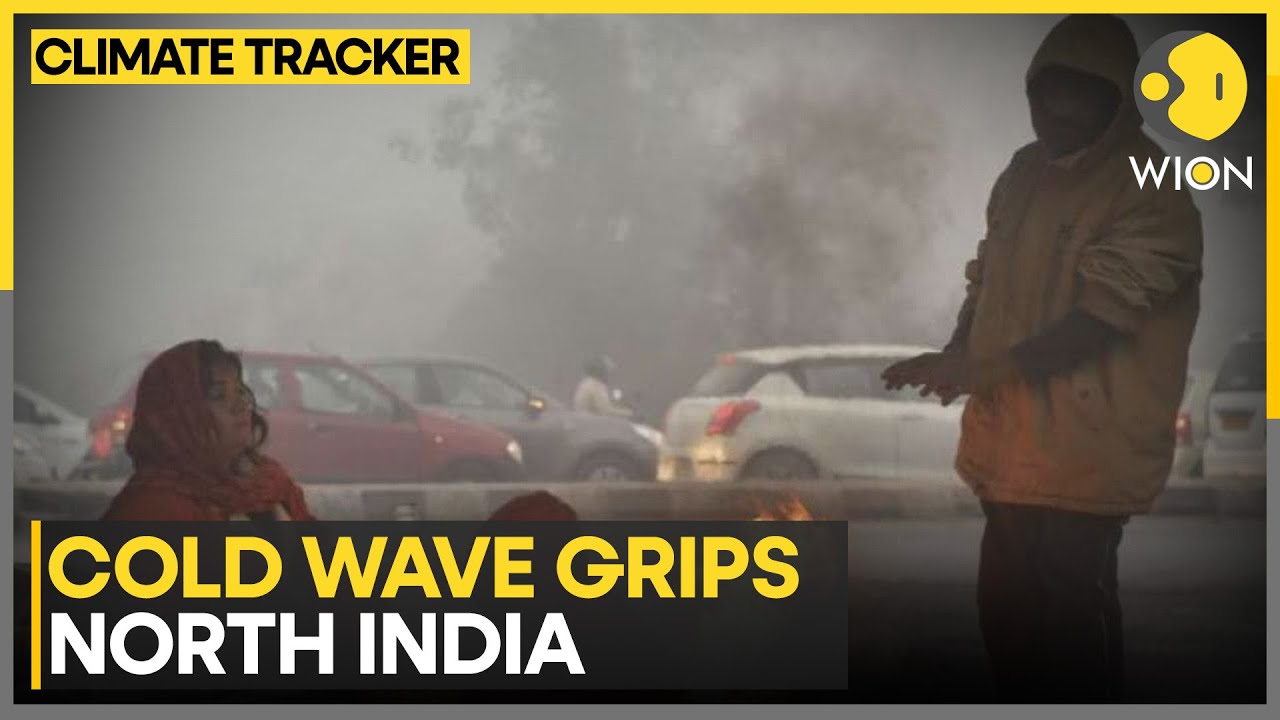 India Hit by Severe Cold Wave as Temperatures Set to Fall Further | WION