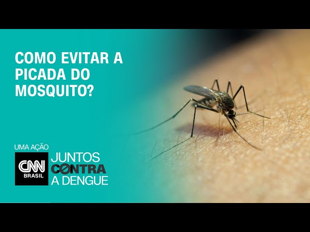 Especialista explica como evitar ser picado pelo mosquito da dengue ...