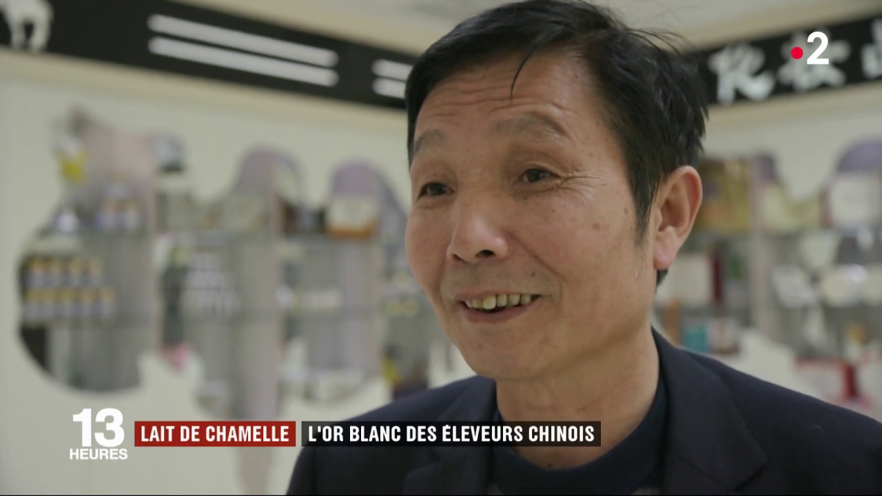 Le lait de chamelle chinois, août 2019