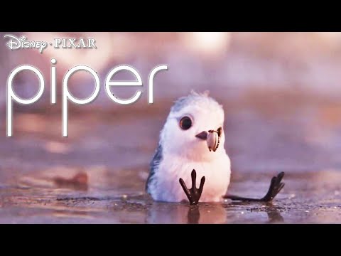 Piper | Stream On Disney+ | Disney UK