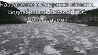 preview picture of video 'Наводнение в Амурской области. Водосброс на Зейской ГЭС, день седьмой'