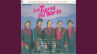 El porro Music Video