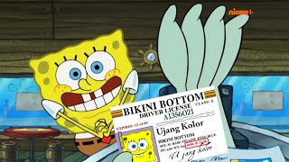 Download lagu Sepongebob Bahasa Sunda, Ujang kolor mp3 Download lagu Sepongebob Bahasa Sunda, Ujang kolor mp3