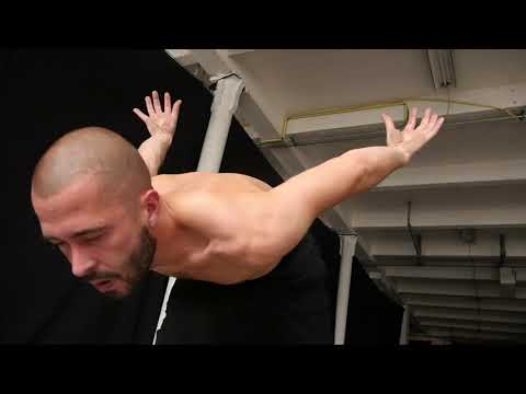 Erik Demaseure - Animal Kingdom Participative Project -