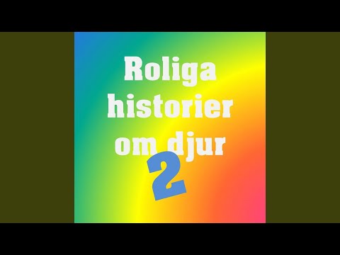 Bostadsbrist & Prärievargar