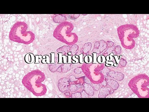 Oral mucosa 1 part3