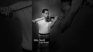 Download lagu Idris Sardi - Gugur Bunga mp3