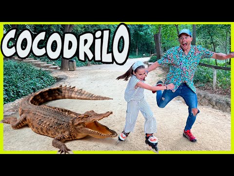 **NOS ATACA** un COCODRILO GIGANTE!! 😱