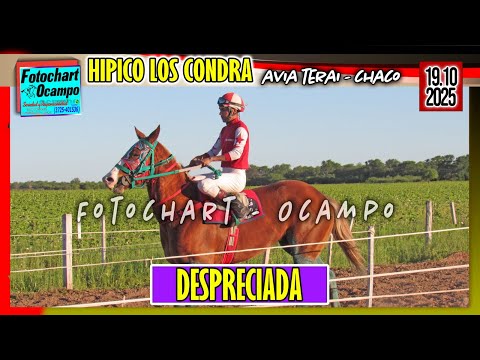 DESPRECIADA Avia Terai CH 19 10 2025