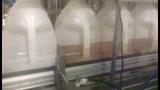oil filling machine youtube video